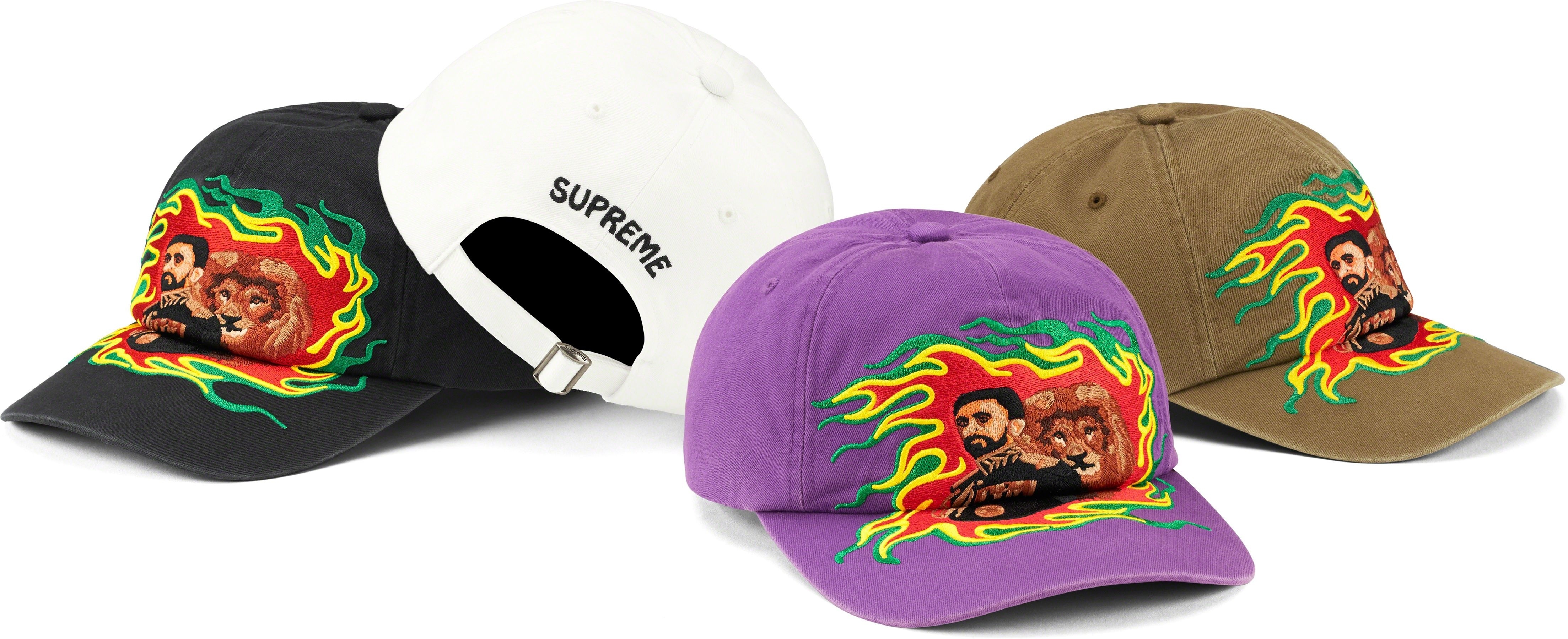Lion of Judah 6-Panel